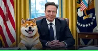 ทนายคนสนิทของ Elon Musk เตรียมนั่งเก้าอี้ประธาน กองทุน Dogecoin มูลค่า $200 ล้าน