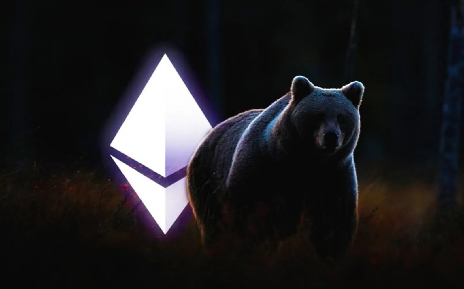Eth Cover 2.jpg