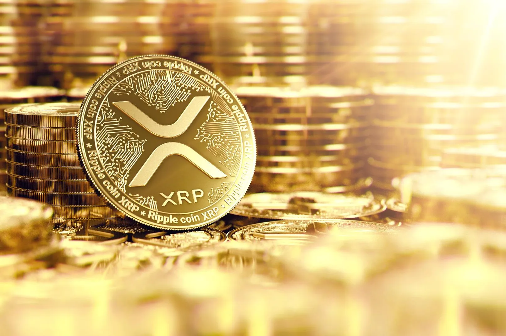 Xrp 3.jpg