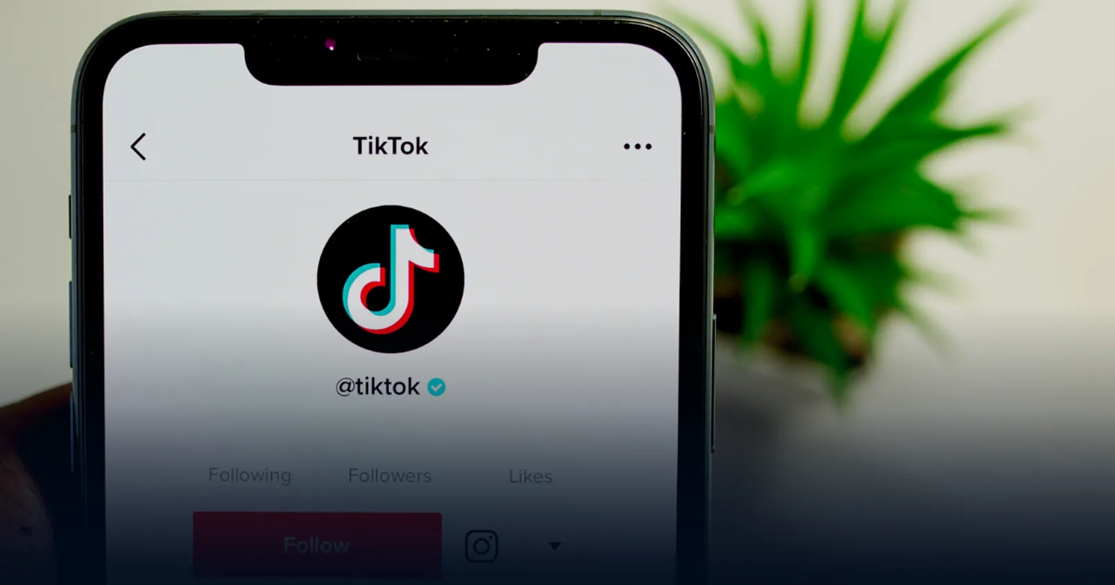 Tiktok พร้อมปล่อย 'Text Posts' ฟีเจอร์ใหม่ลงบนแพลตฟอร์ม