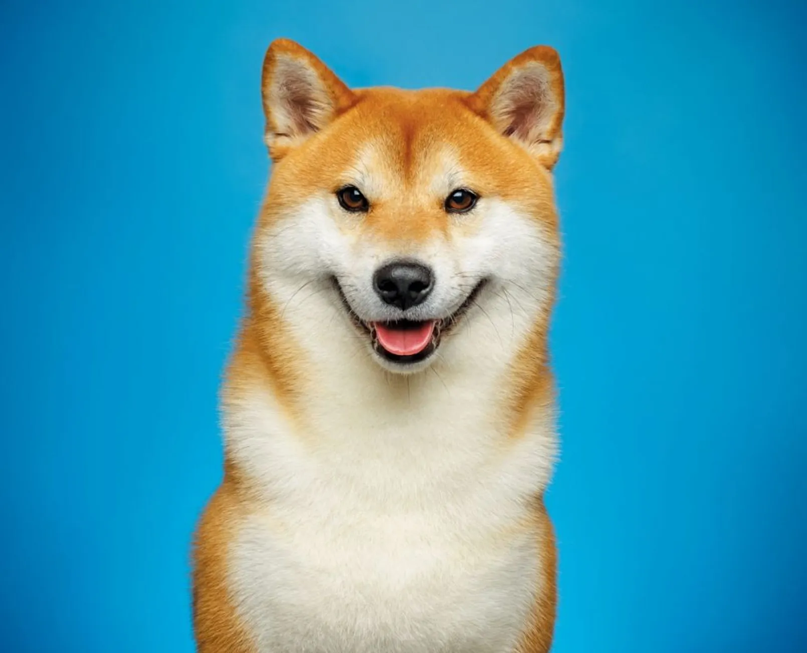 Dogecoin.jpg