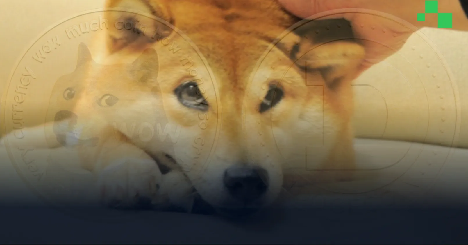 สำเนาของ Max Template (78)