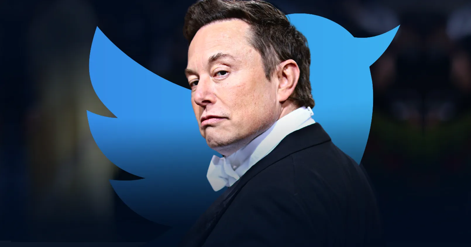 elon musk twitter