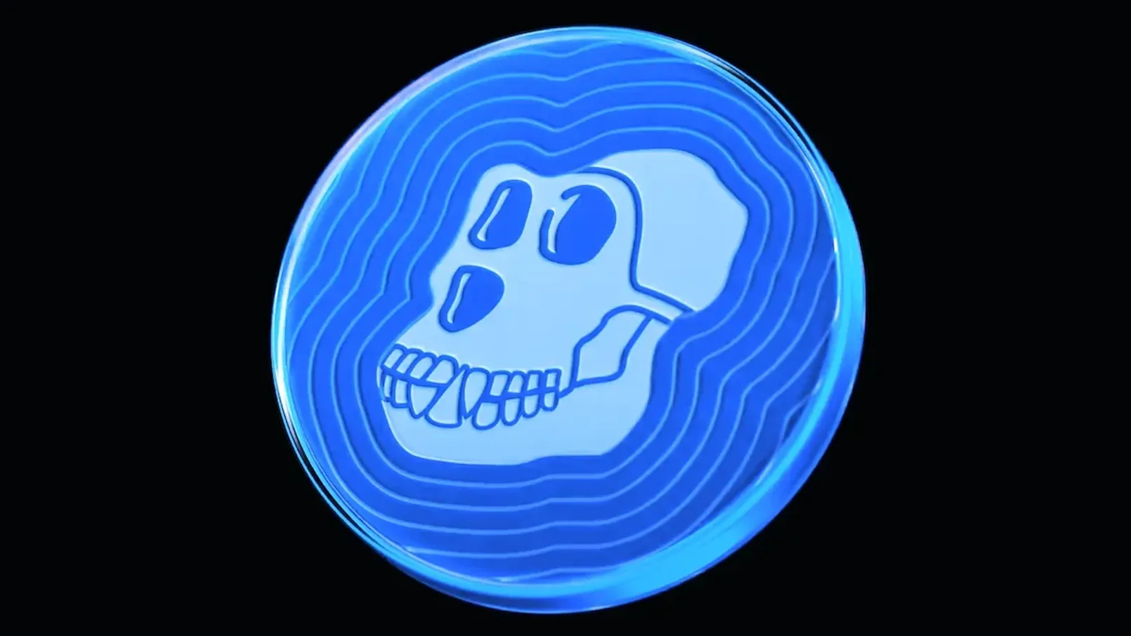 Apecoin Bored Ape Yacht Club G ID 1.webp
