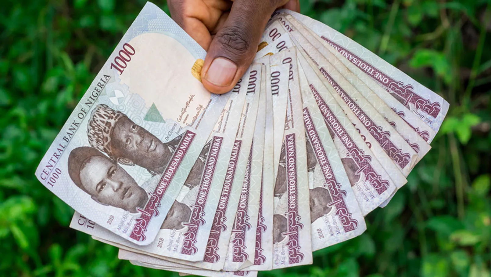 Naira.jpg