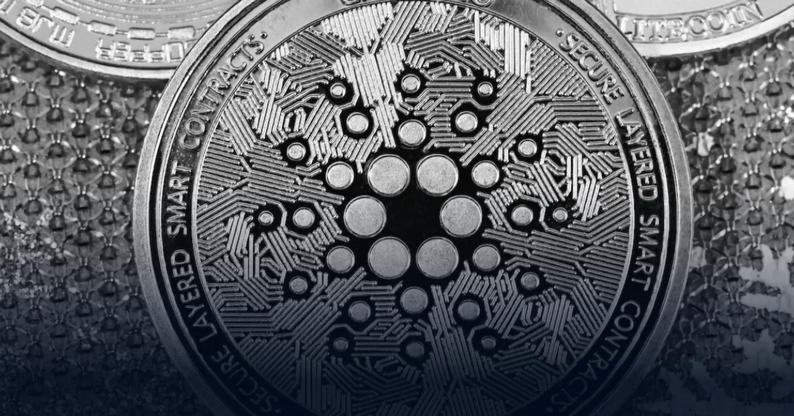 อัปเดตสถานการณ์ Cardano! พบ 70% ของ Address ทั้งหมดยังขาดทุน