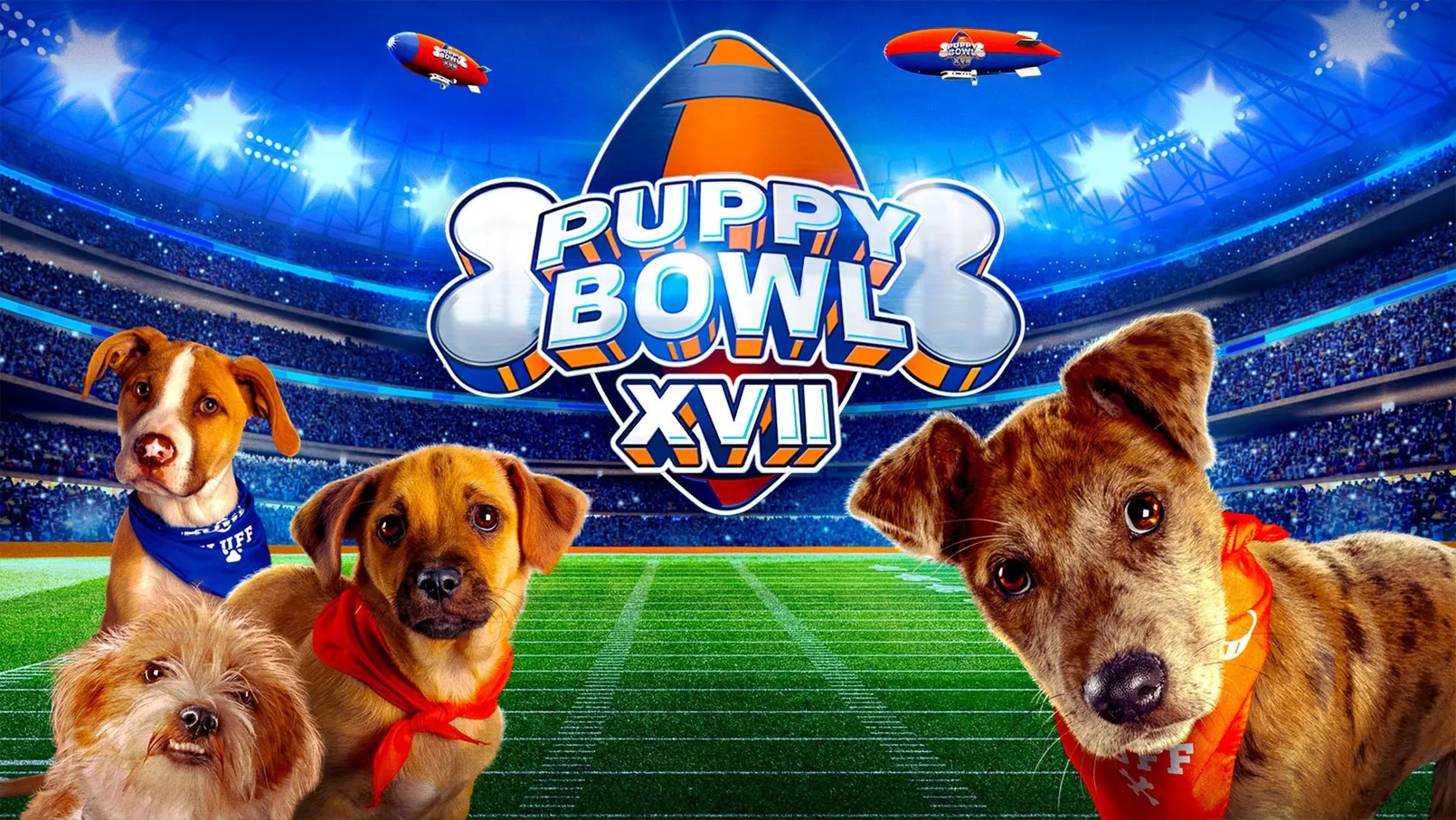 Puppy Bowl.jpg