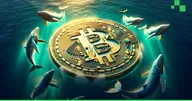 Bitcoin ร่วงลงต่ำกว่า $104,000 แต่ข้อมูลชี้! นักเทรดมืออาชีพยังเชื่อมั่นในแนวโน้มขาขึ้น