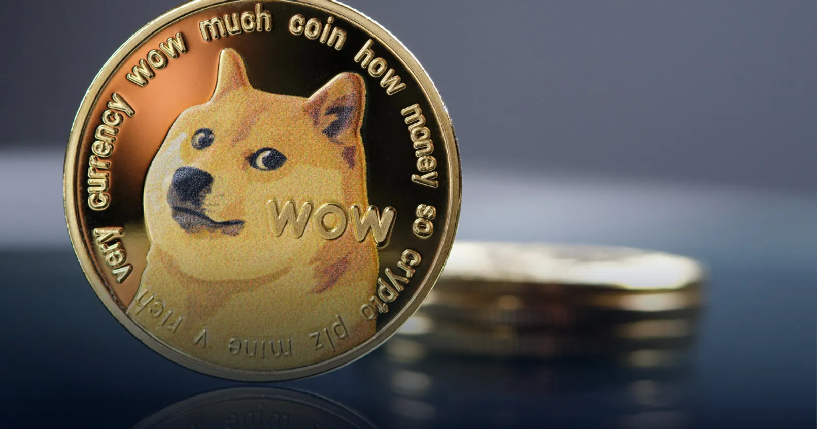 Robinhood ซุ่มโอน 8% ของปริมาณ Dogecoin ทั้งโลก ไปยัง address ปริศนา - สิ่งนี้กำลังบอกอะไรเรา?