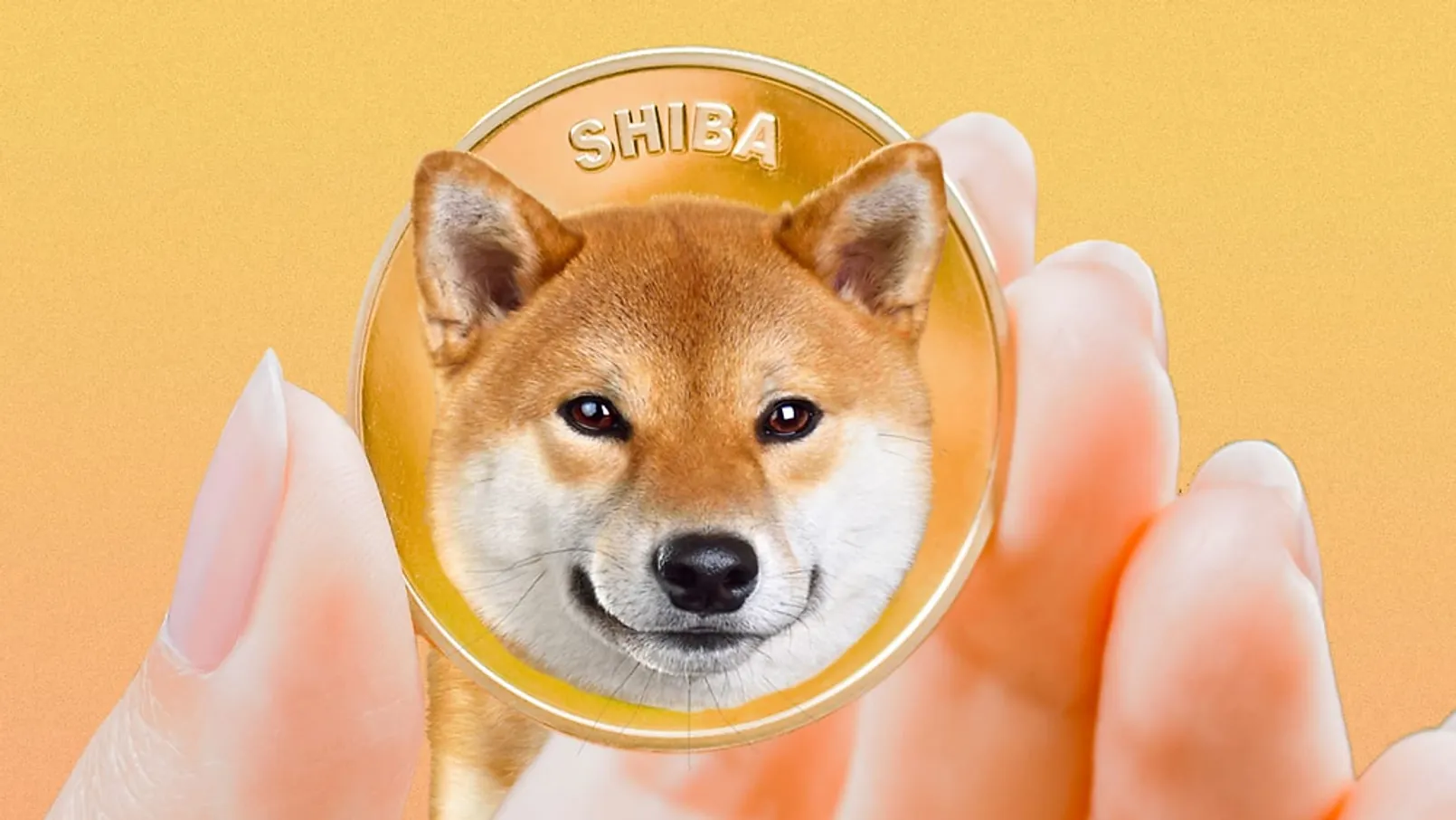 F1abae D1b9499340664f48886bd38bd4af4ac7 Mv2.png