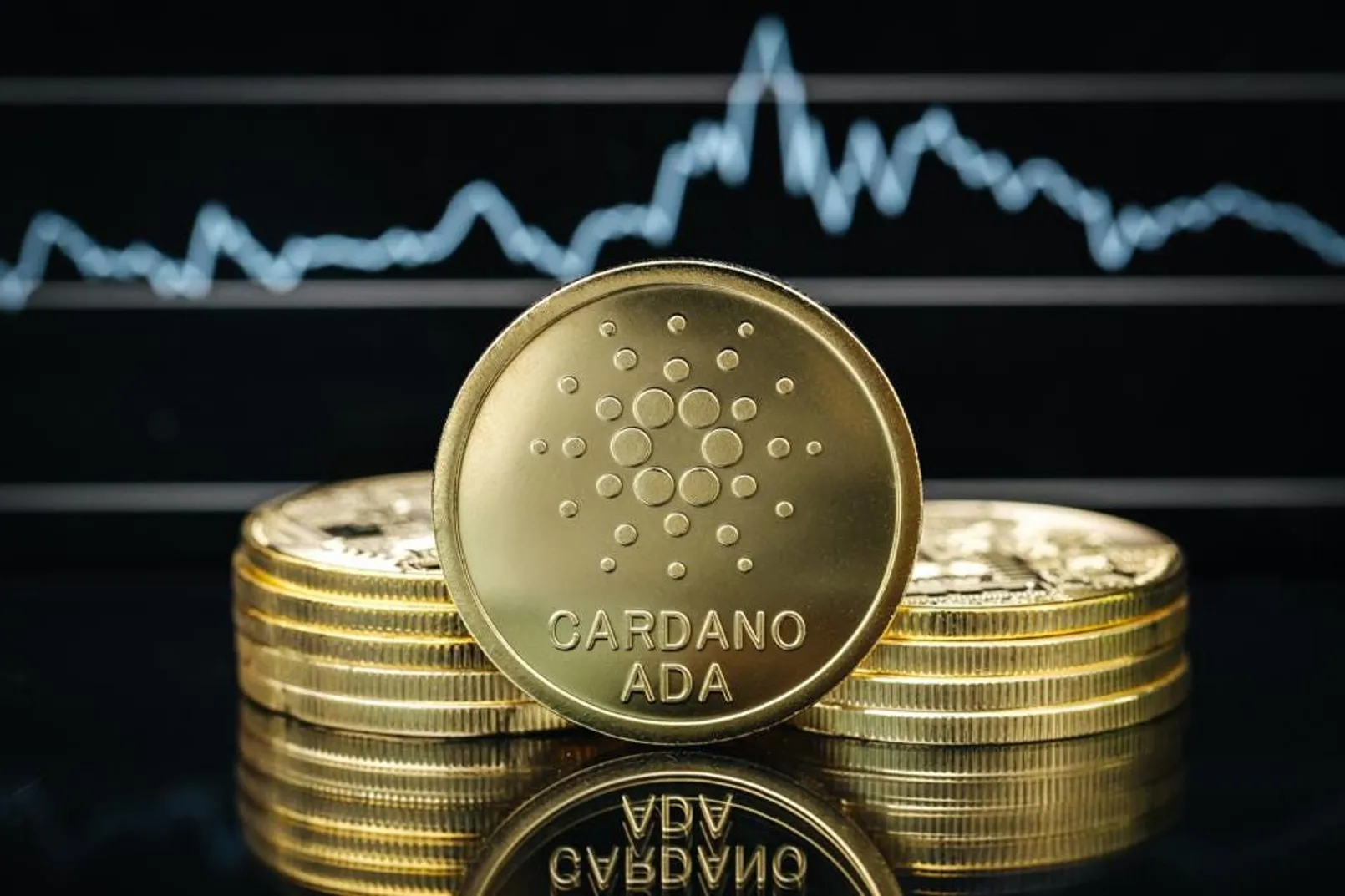 เหรียญ Cardano 