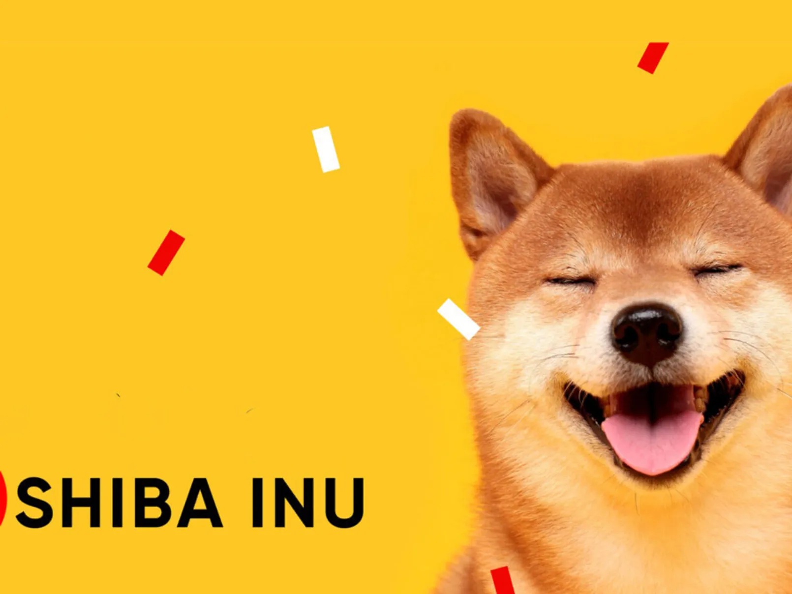 Shiba Token Shib 1200x900 1.jpg