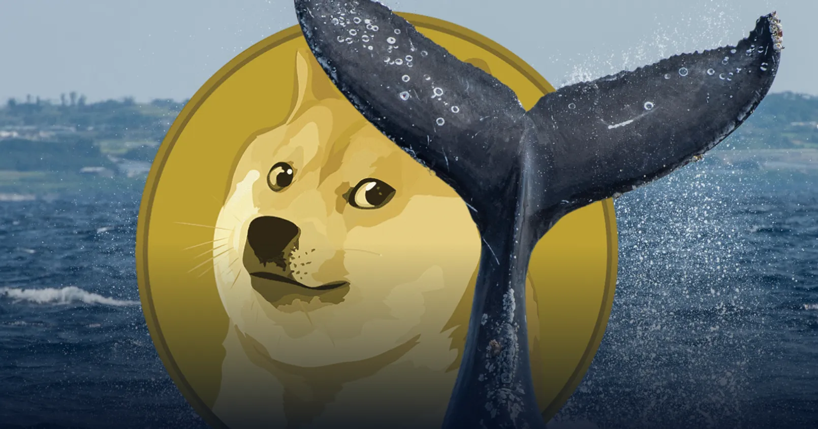 ตรวจพบ 4 วาฬ Dogecoin เก่าแก่ เคลื่อนไหวครั้งแรกในรอบ 9 ปี