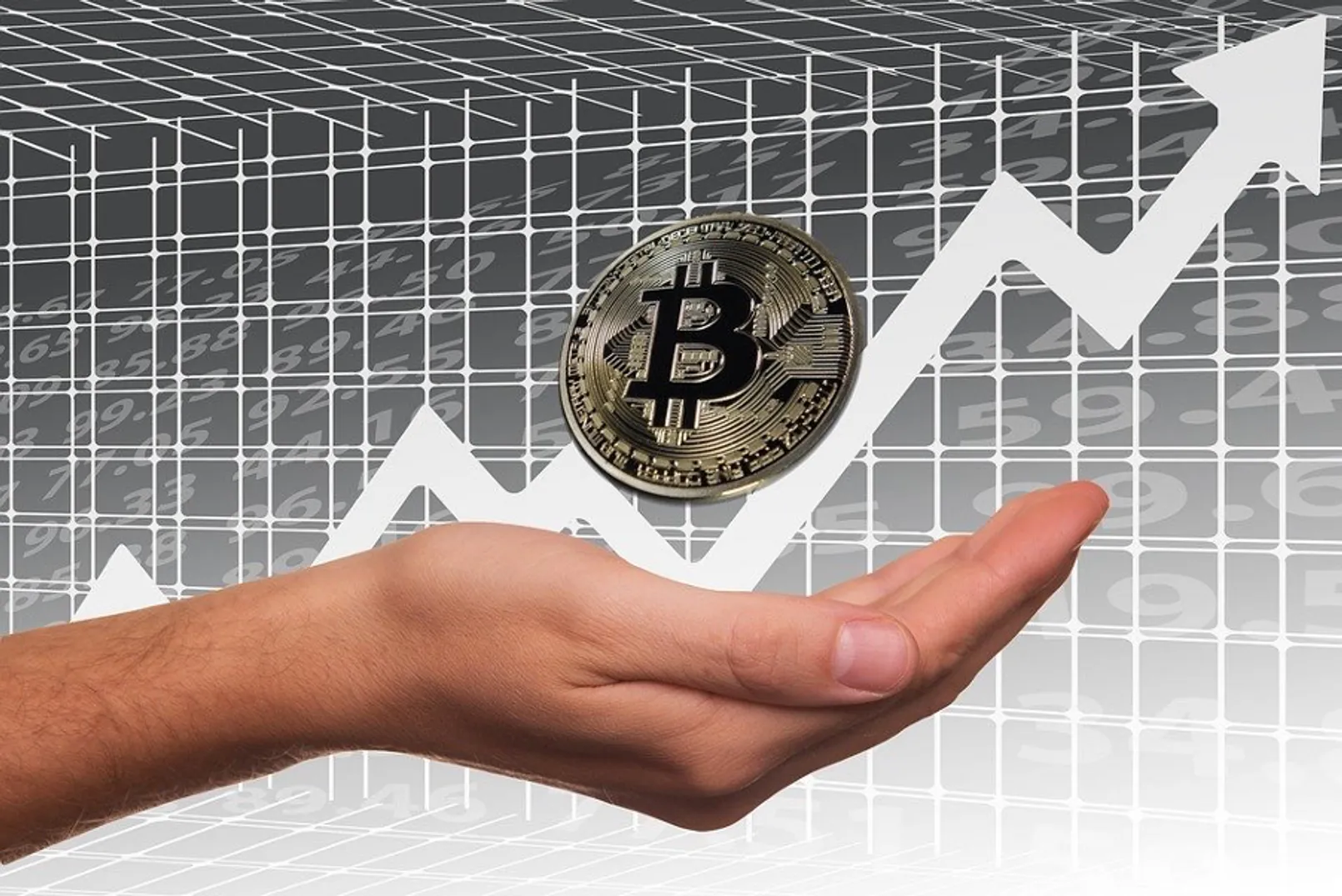 Bitcoin Legacy.png