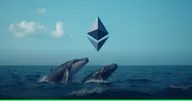 วาฬ ETH เก็บสะสมเพิ่ม 14% นับตั้งแต่จุดต่ำสุดเดือนเมษายน นักวิเคราะห์บางรายเชื่อเป้าหมาย $15,000 ปีนี้ยังเป็นไปได้