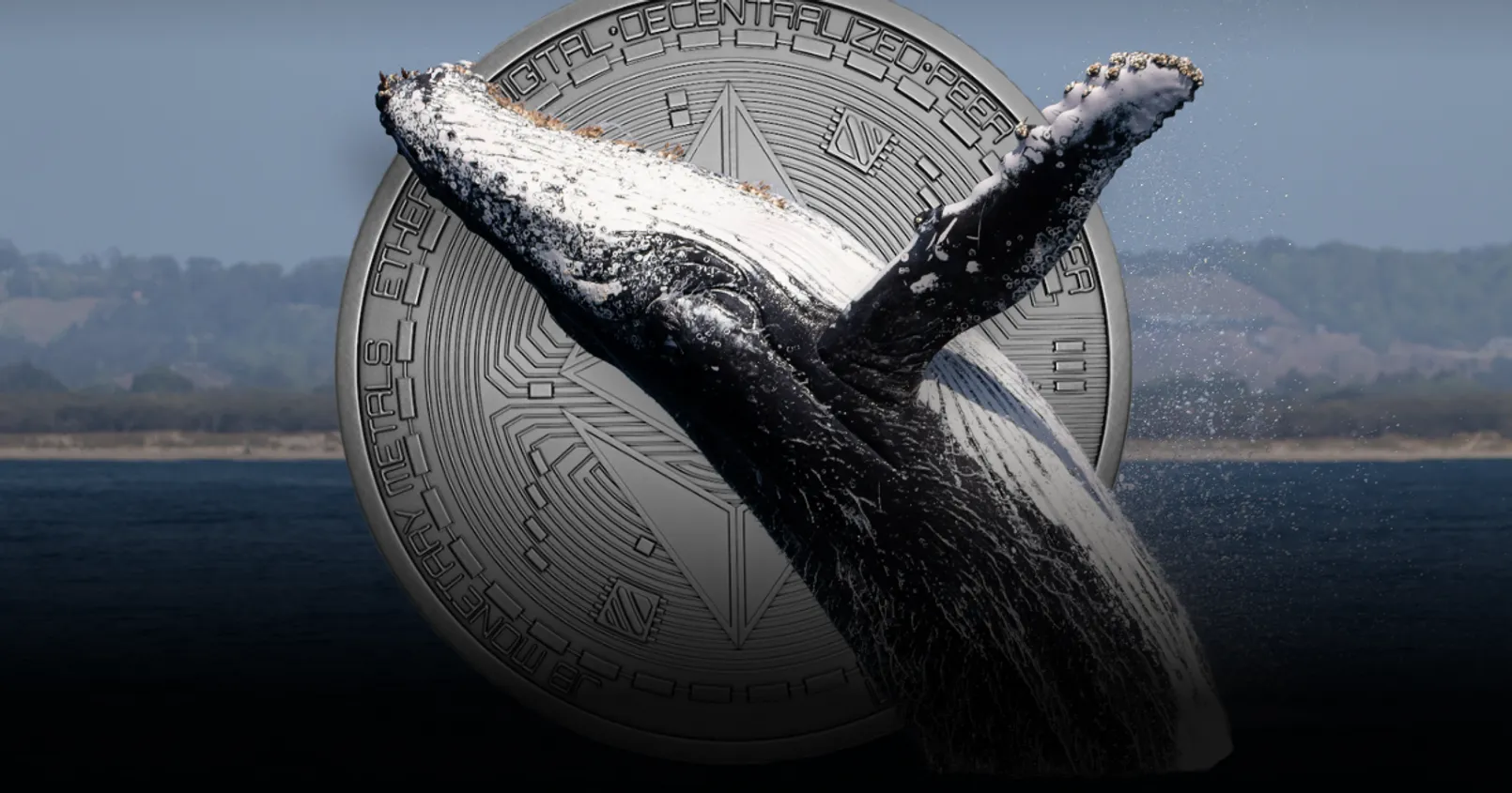 พบที่อยู่ 'วาฬยักษ์' จำนวนมาก เข้าซื้อ Ethereum จำนวนกว่า 2.6 แสน ETH