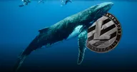 IntoTheBlock รายงาน! พบ ‘วาฬ’ หลายตัวเข้าสะสม Litecoin เป็นจำนวนมาก