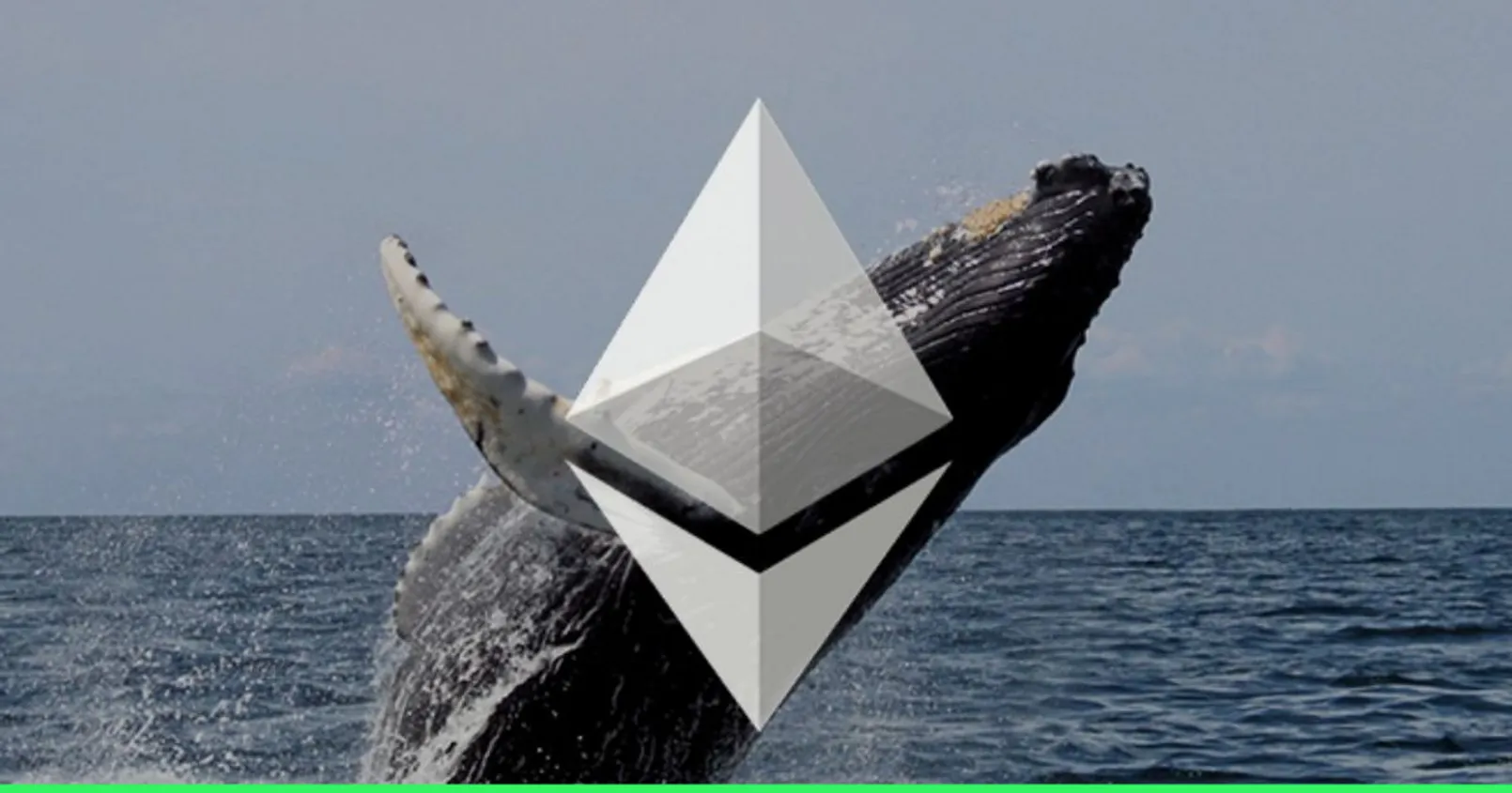 วาฬ Ethereum สวนทางตลาด! ทุ่มซื้อกว่า 1.4 พันล้านบาท แม้ราคา ETH ร่วงหนักกว่าตลาดโดยรวม