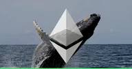 วาฬ Ethereum สวนทางตลาด! ทุ่มซื้อกว่า 1.4 พันล้านบาท แม้ราคา ETH ร่วงหนักกว่าตลาดโดยรวม