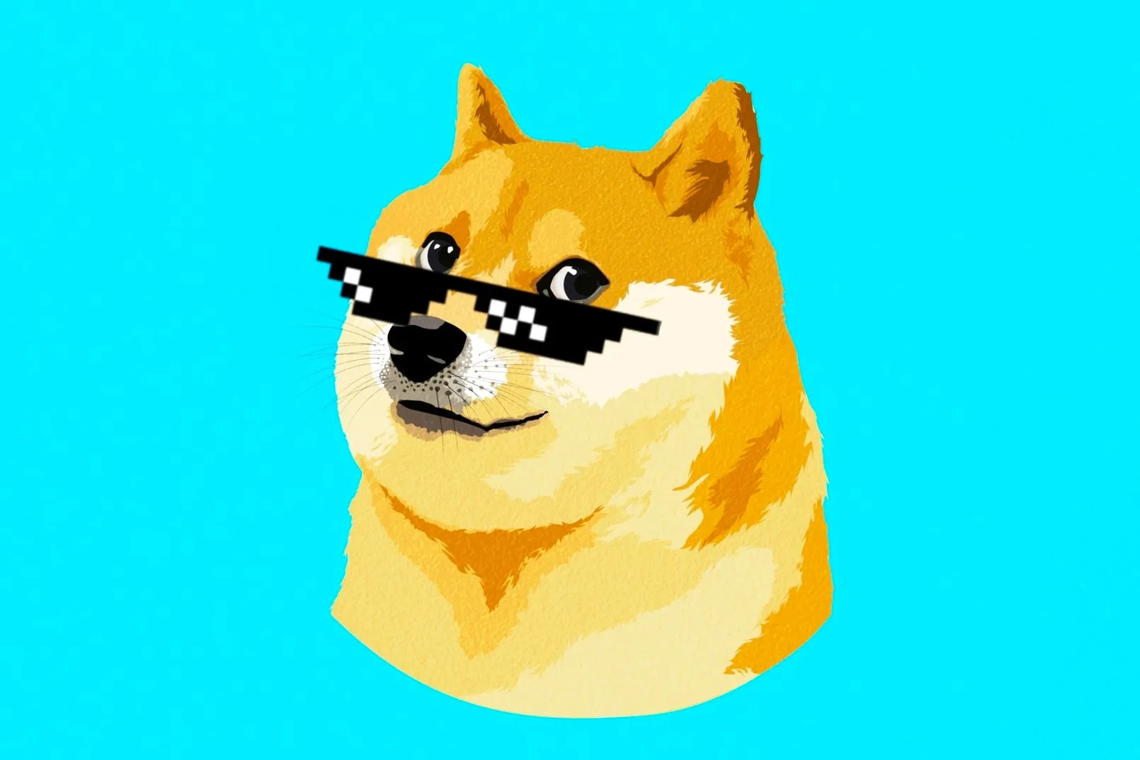 Dogecoin 1.jpg