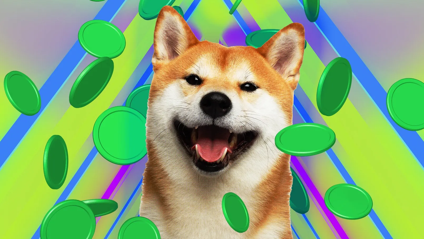 20210511 Doge Shiba Shib Coin 2.jpg