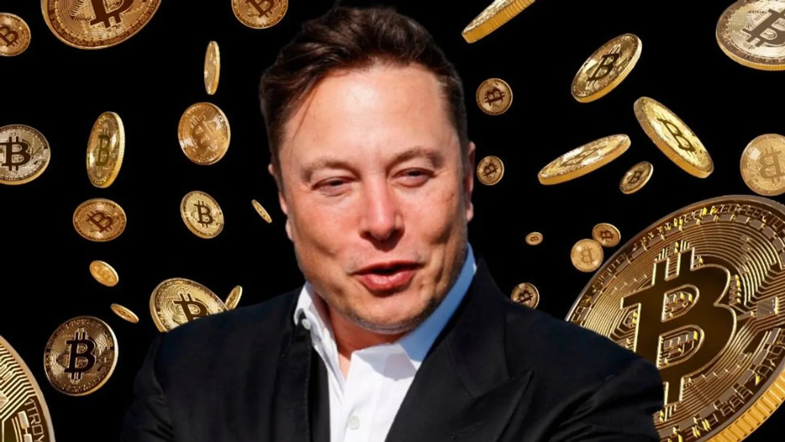 Elon Musk Tsla Btc.jpg