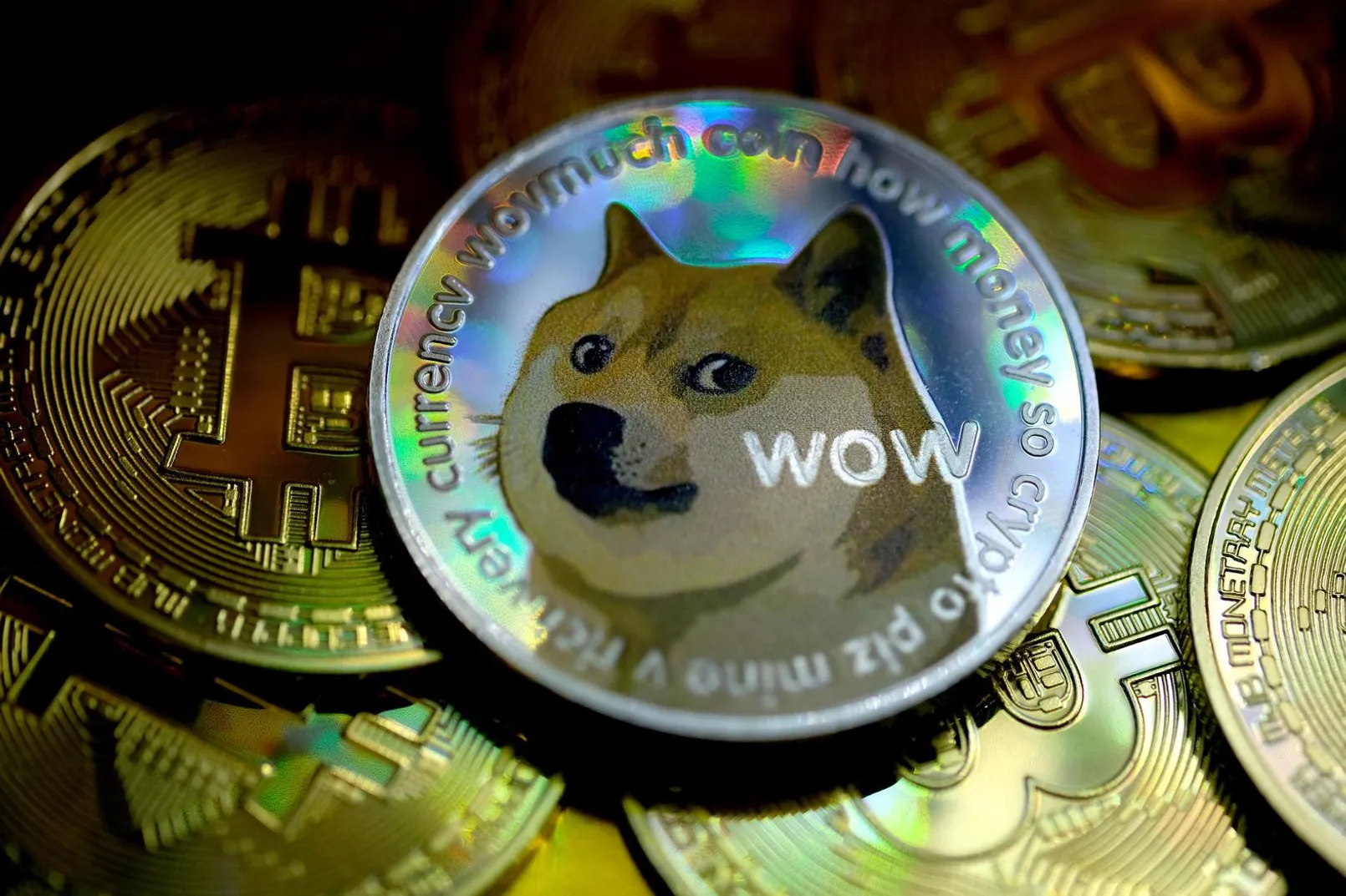 Doge 1.jpg