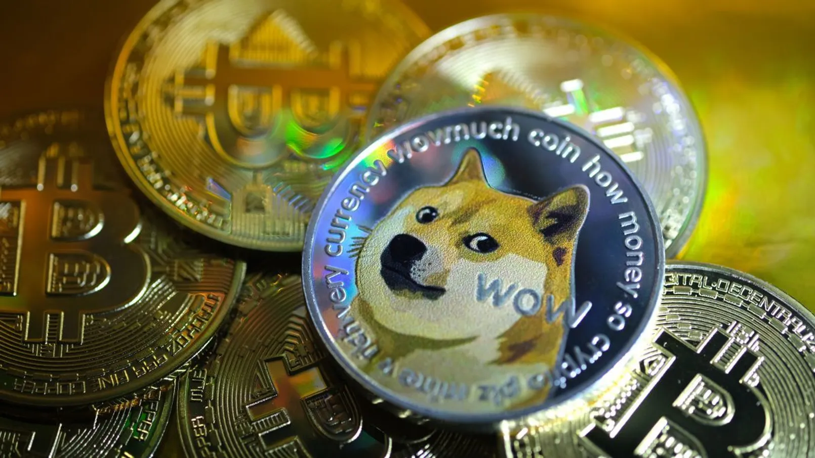 Doge.jpg