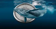 Blockchain.com วาฬ 2 ตัว เคลื่อนไหวอีกครั้งในรอบ 10 ปี
