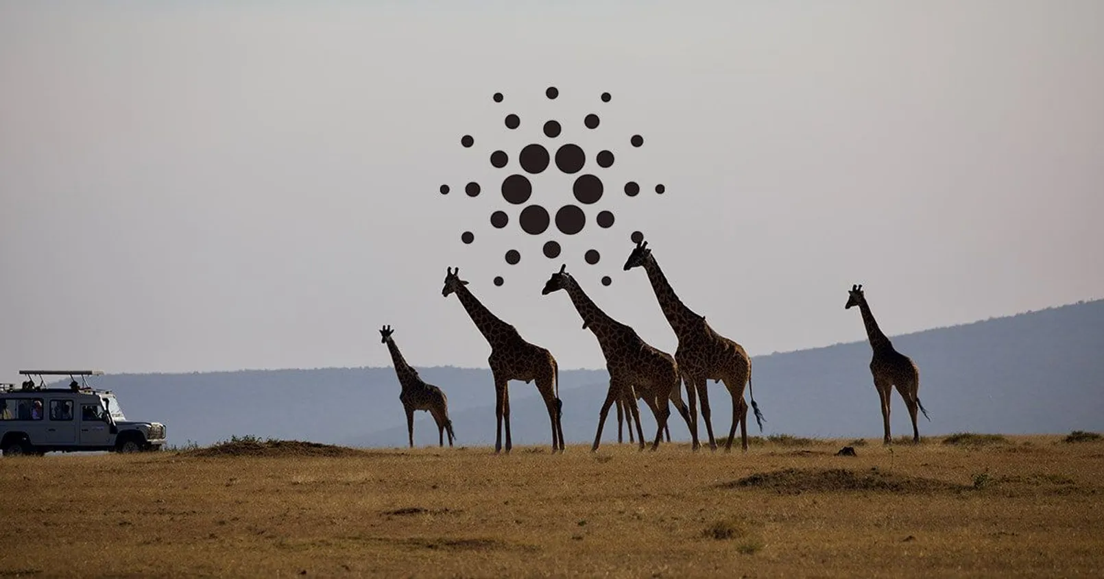 Cardano Tanzania.jpeg.jpg