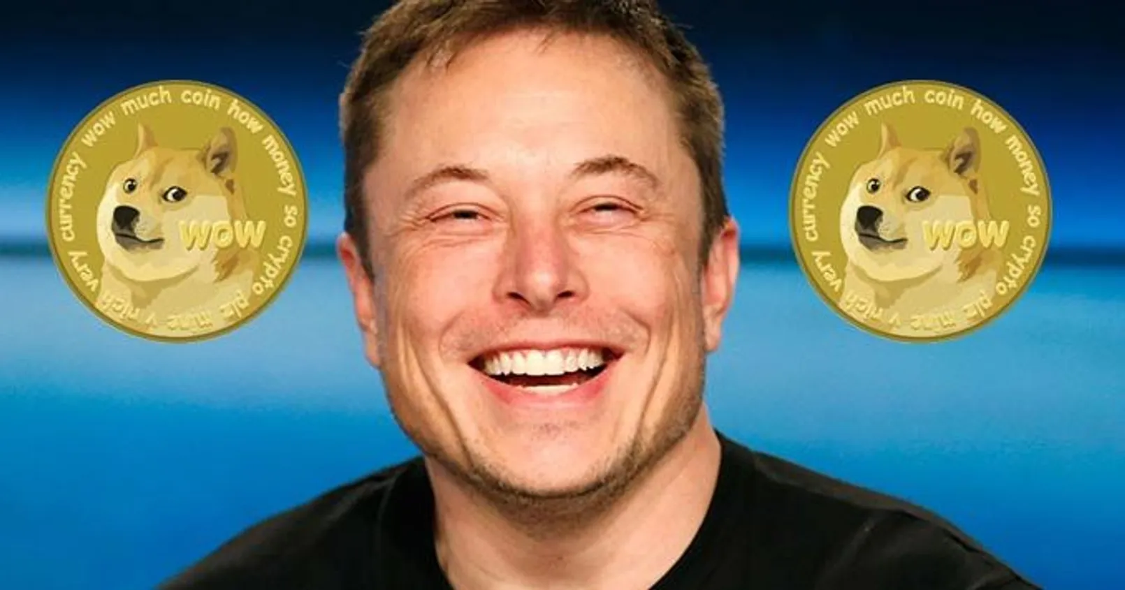 Dogecoin 678x356 1.jpeg