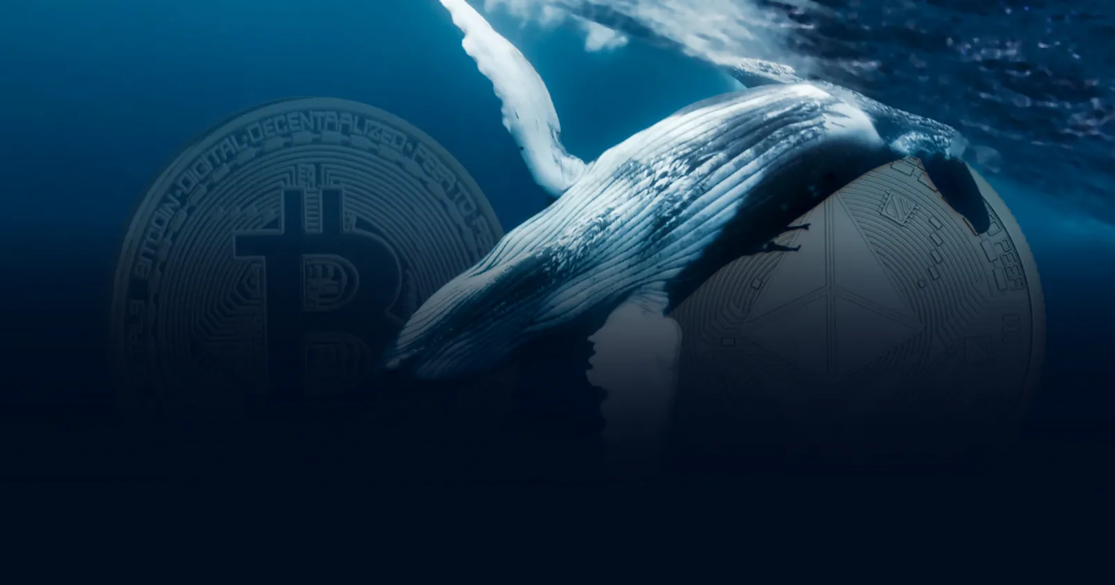 พบวาฬ Bitcoin & Ethereum โยกย้ายเหรียญ