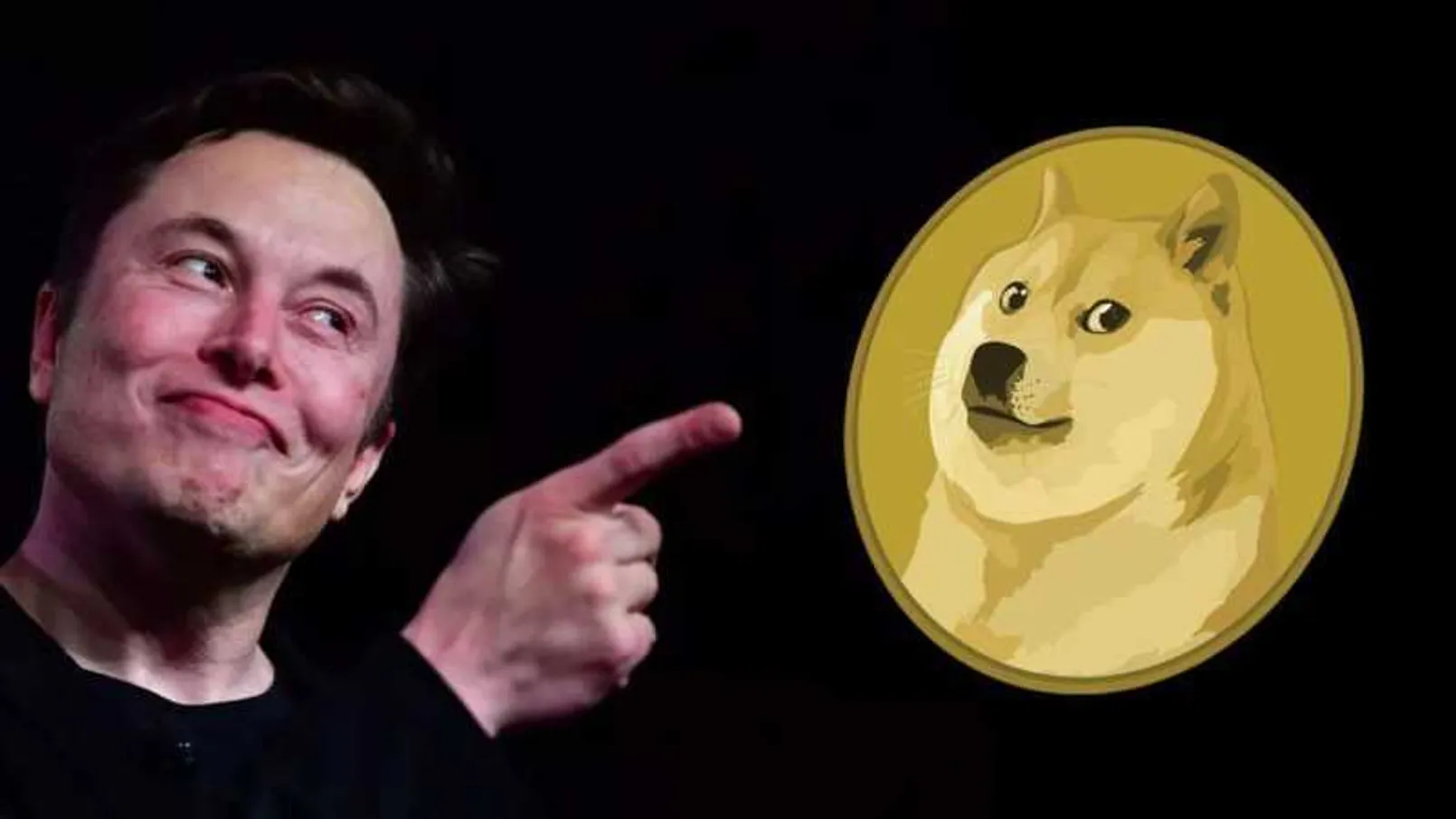 Doge Hikayesi Devam Ediyor Elon Musk Tweet Atti Dogecoin Yuzde 80 Yukseldi 1 E1616049750159.jpeg