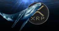 Ali Martinez นักวิเคราะห์ดังพบ ‘วาฬ’ จำนวนมาก เริ่มเข้าสะสมเหรียญ XRP