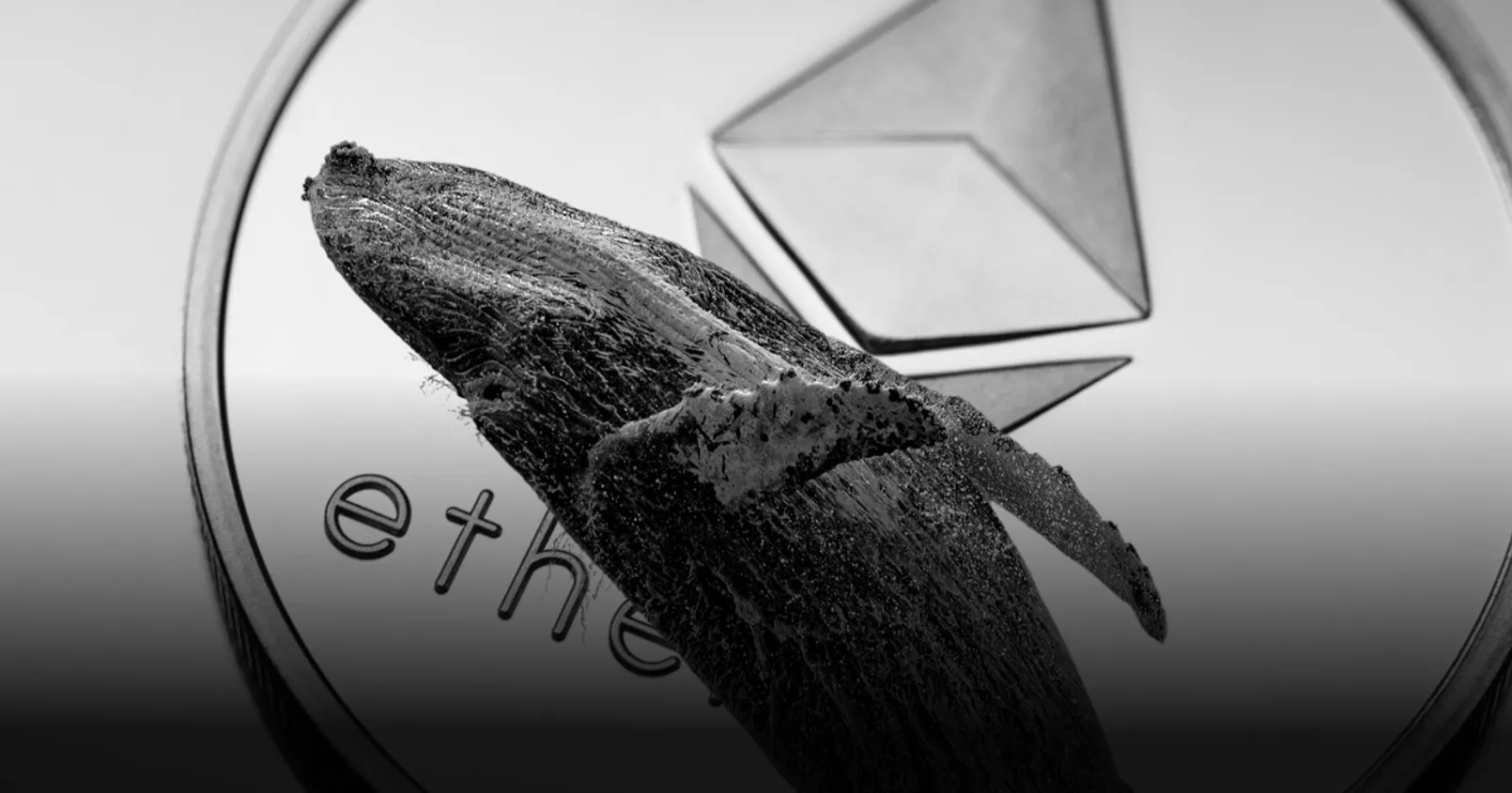 พบวาฬ Ethereum ทำธุรกรรมมากขึ้น อย่างมีนัยสำคัญ ภายใน 6 เดือนที่ผ่านมา