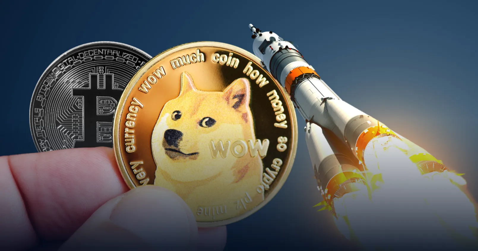 'BitInfoCharts' เผย! จำนวนการทำธุรกรรม บนเครือข่าย DOGE พุ่งทะลุ All Time High