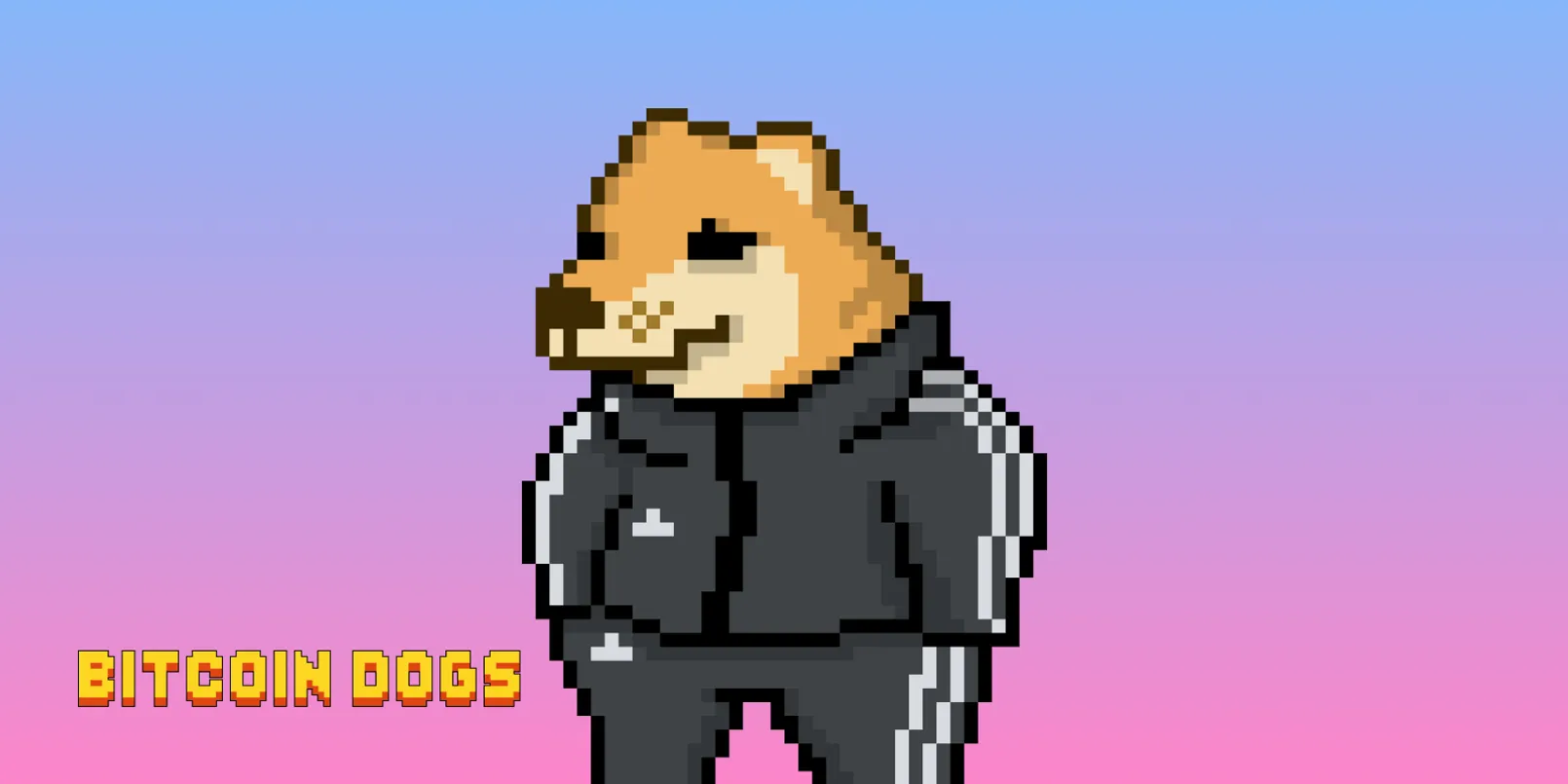 Halving BTC กำลังจะมาถึง ทำให้ราคา 0DOG พุ่ง