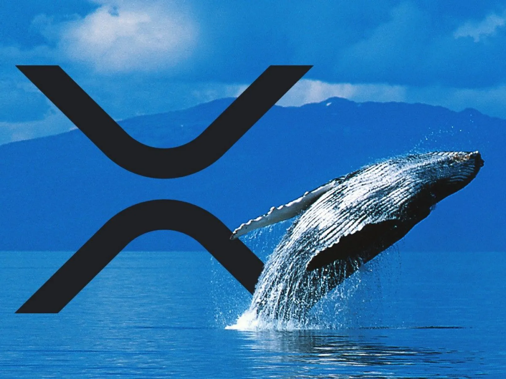 Xrp Whale.jpg