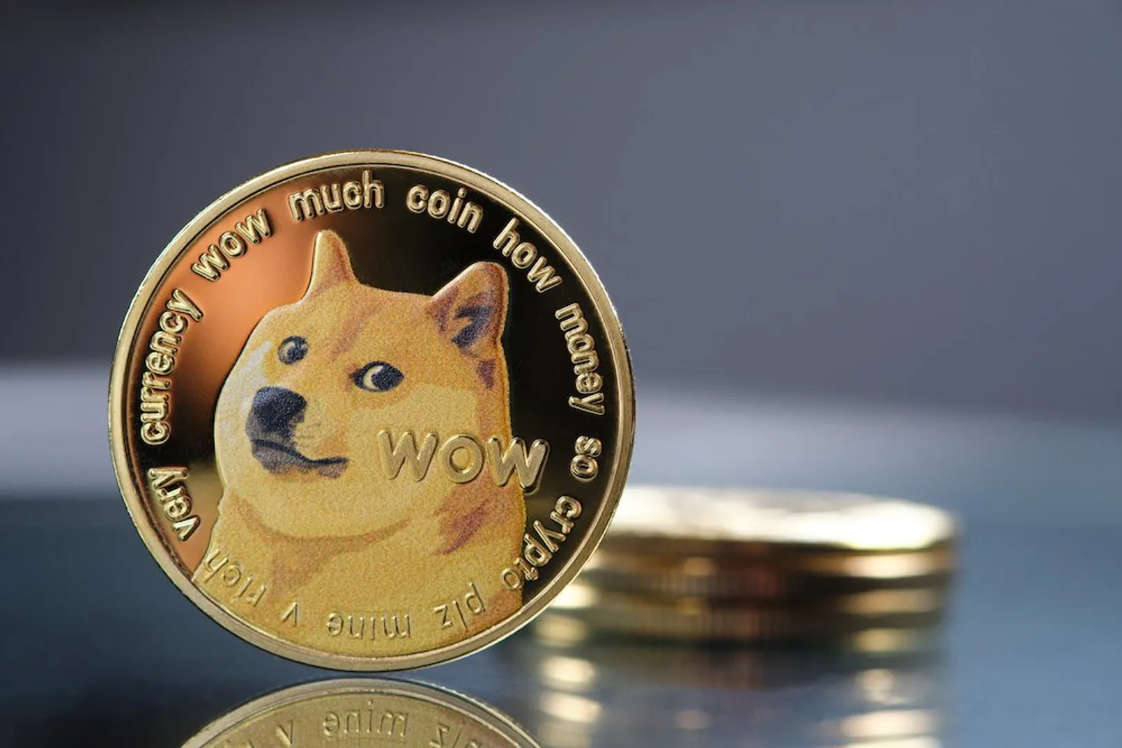 Dogecoin ราคาพุ่งแรง