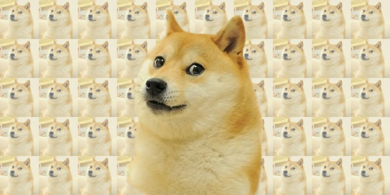 Doge Meme.jpg