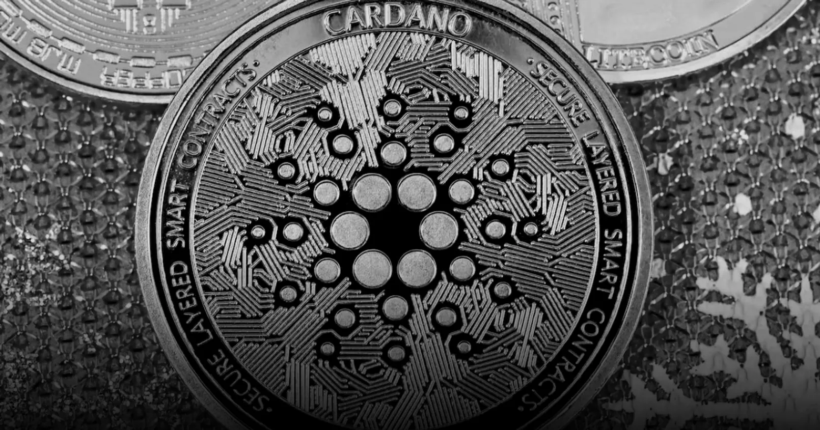 Smart Contract บนเครือข่าย Cardano พุ่งยับในเดือนมกราคม