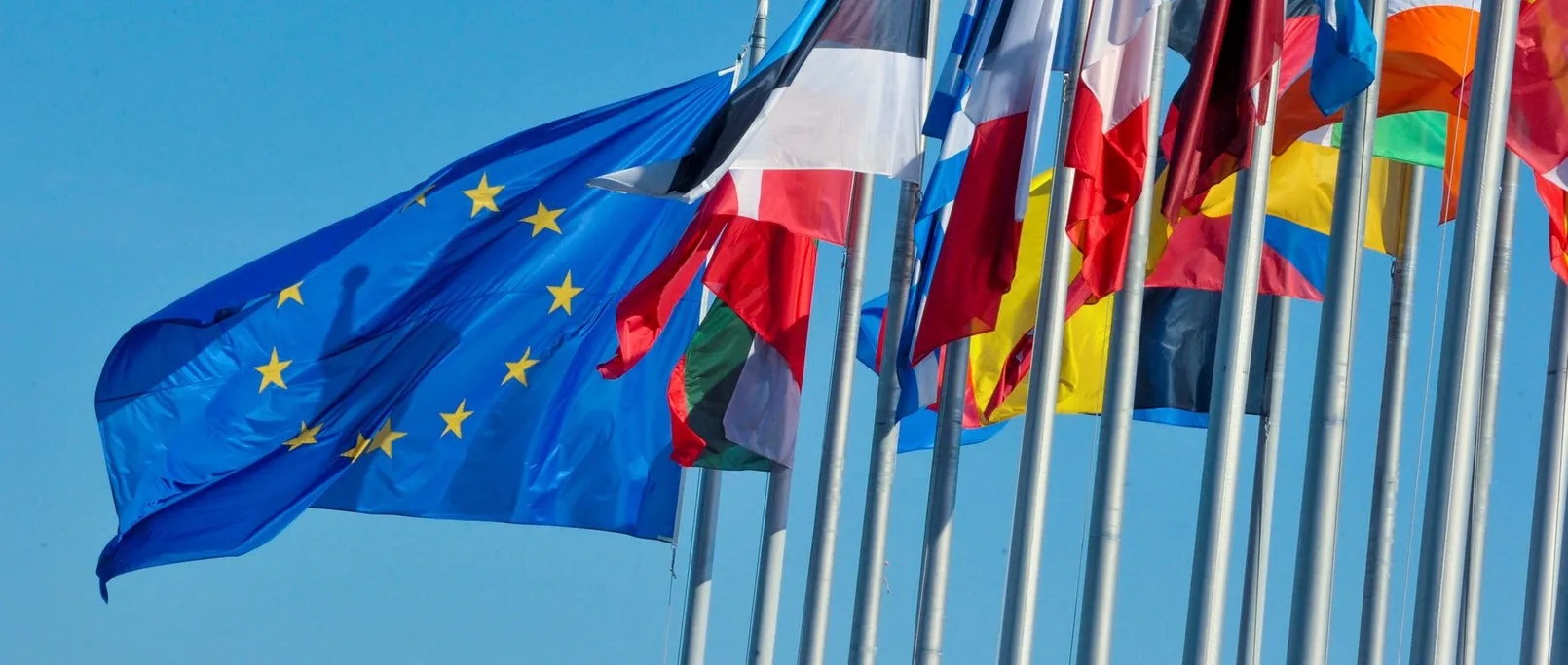 Eu.jpg