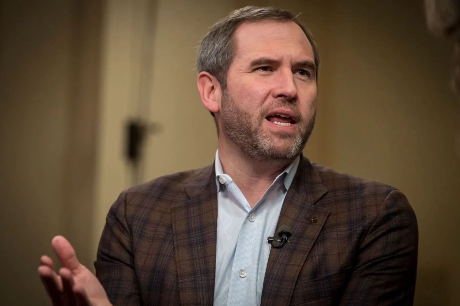 Ripple Ceo.jpg