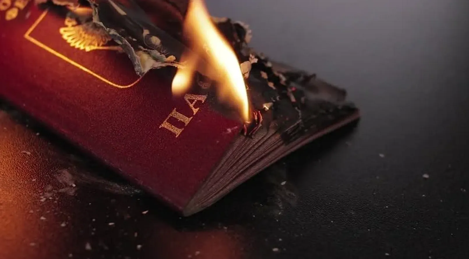 Burnedpassport.png