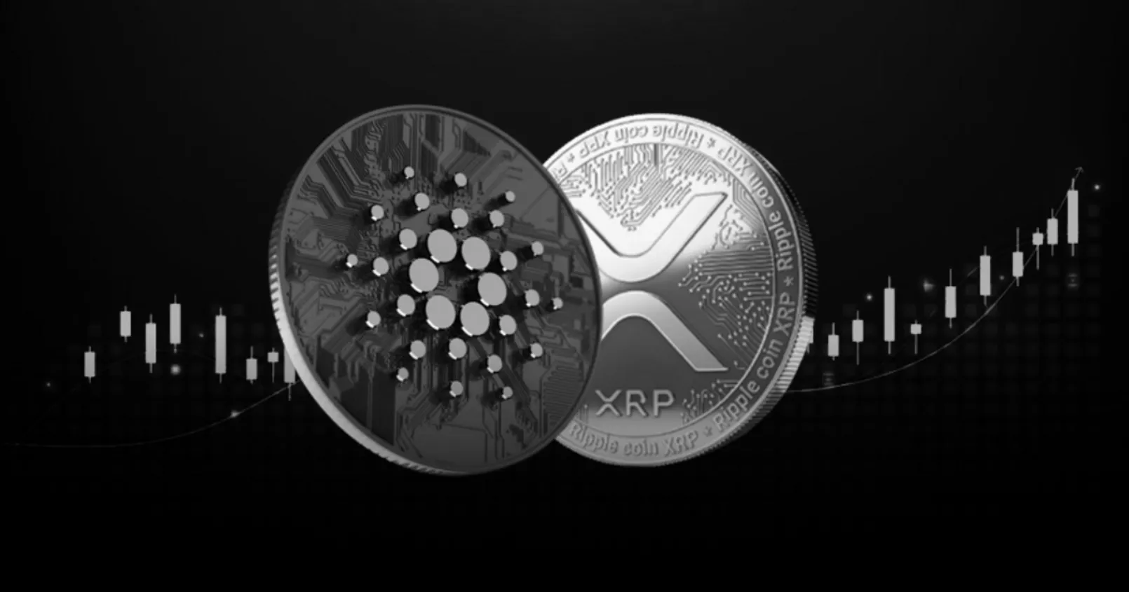 เปิดบทวิเคราะห์ '2 เหรียญดัง' ในตลาด! ชวนดูแนวโน้มราคา XRP และ ADA ล่าสุด