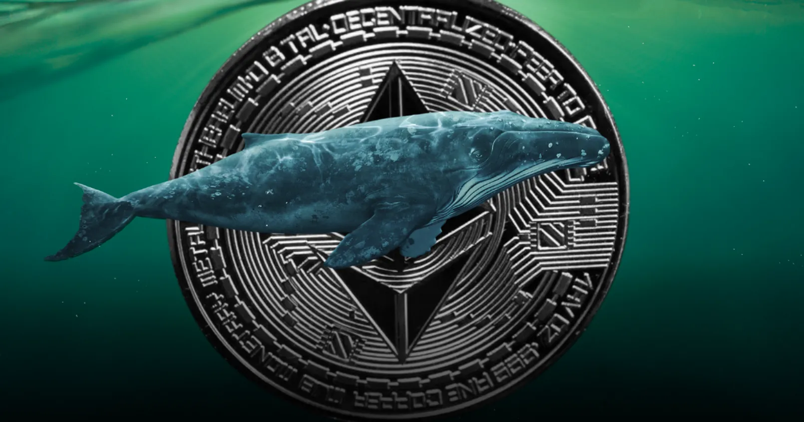 รายงานพบ ‘วาฬ’ มีการเข้าซื้อ Ethereum ไปมากกว่า 2.45 พันล้านดอลล์