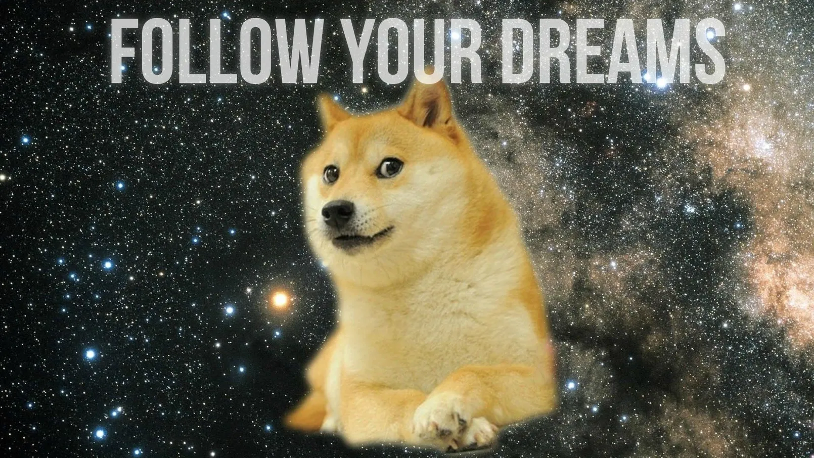 Doge.png.jpg