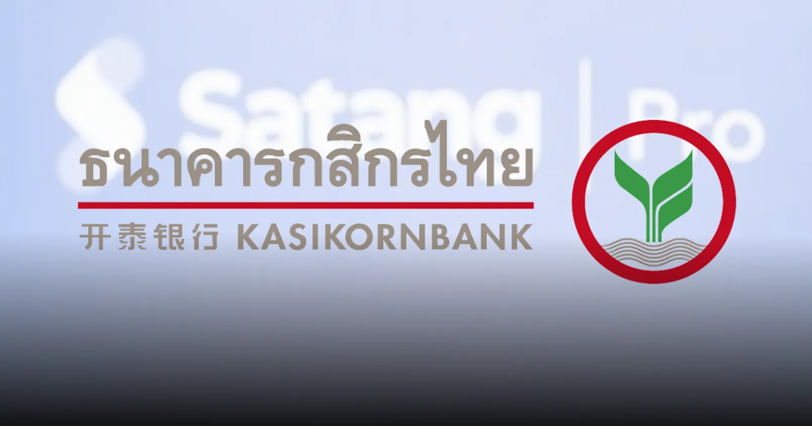 กสิกรไทย บุกตลาดคริปโต! เข้าถือหุ้น 'Satang Pro' ถึง 97%