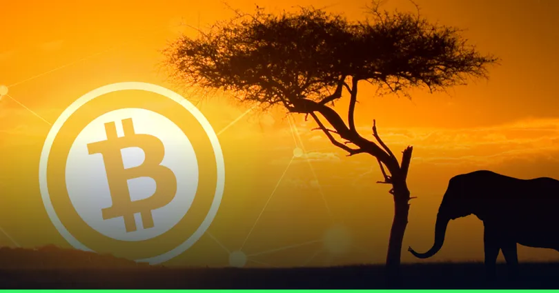 “Bitcoin ถูกสร้างมาเพื่อเรา” — แอฟริกาเปิดตัวบริษัทคลัง Bitcoin แห่งแรก มุ่งสร้างโอกาสใหม่ท่ามกลางวิกฤติเงินเฟ้อ
