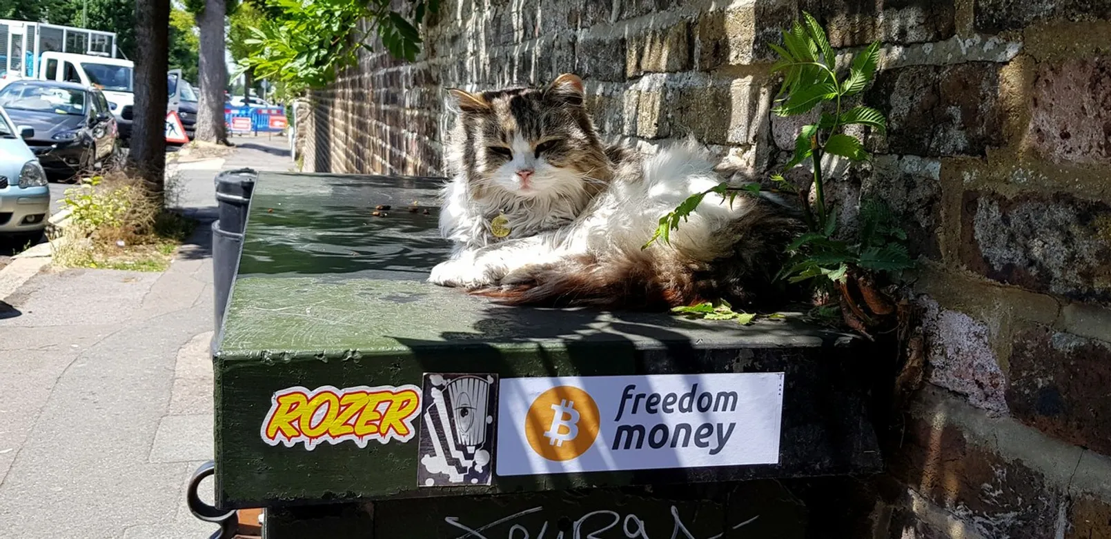 Bitcoin Awareness.jpg